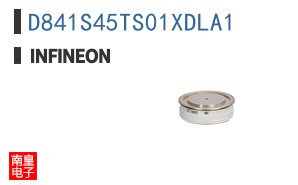 D841S45TS01XDLA1