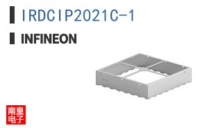 IRDCIP2021C-1