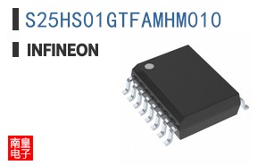 S25HS01GTFAMHM010